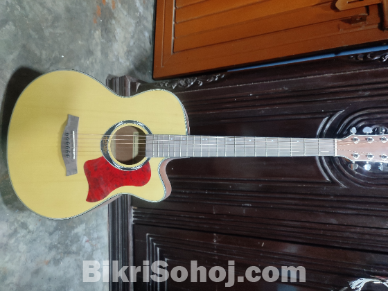 Deviser Acoustic Guitar with bag